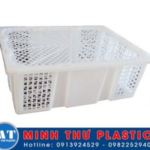 Rổ măng cụt 48,5x35,5x16,5