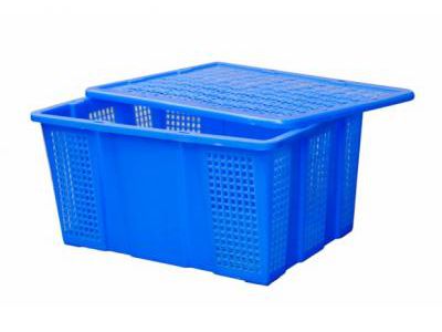 Thông tin sơ lược về rổ nhựa