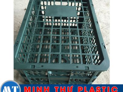 Rổ cam quýt 46x37x27